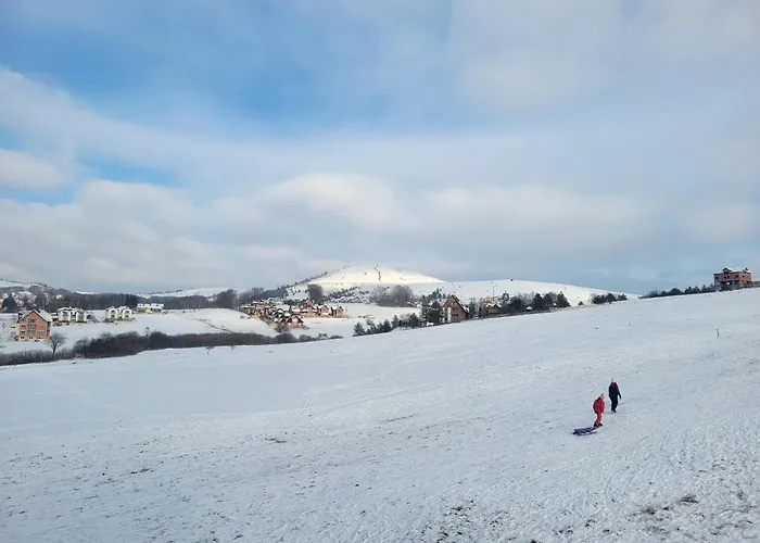 Gorska Oaza 1 Apartment Zlatibor
